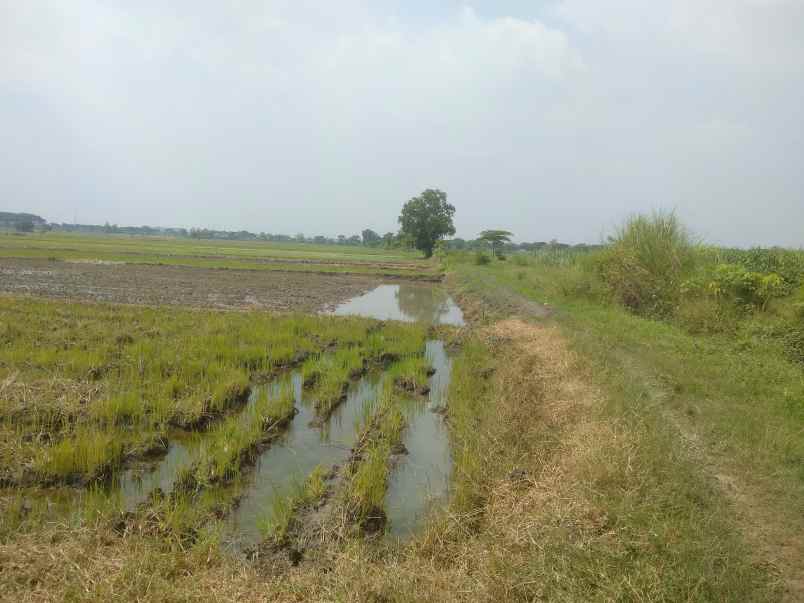 tanah industri mojokerto murah dekat tol mlirip