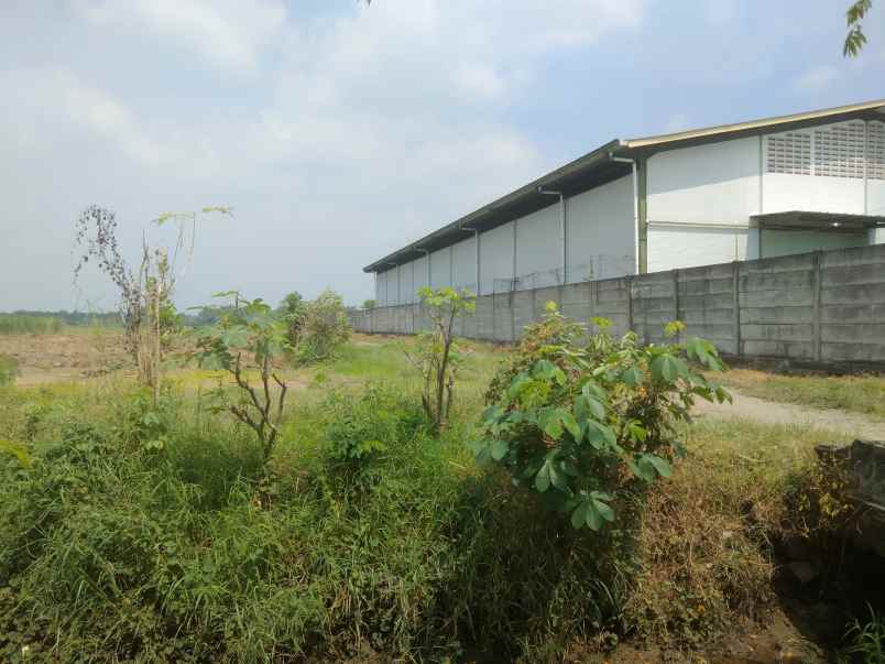 tanah industri mojokerto murah dekat tol mlirip