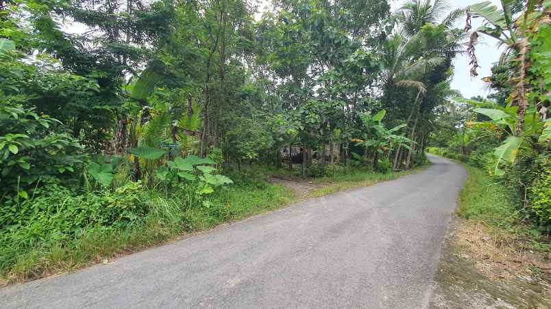 tanah kasihan jogja dekat rajaklana resort