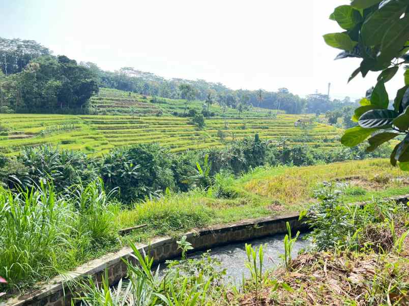 tanah kebun buah subur 1000m2 mojogedang karanganyar