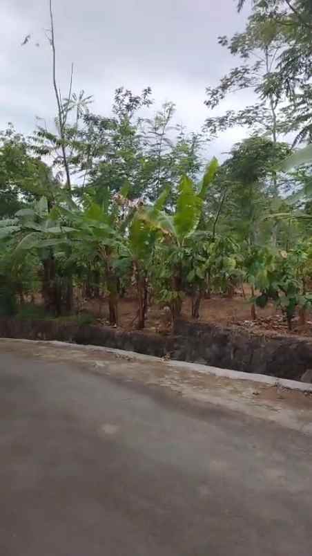 tanah kebun subur dekat kawasan wisata