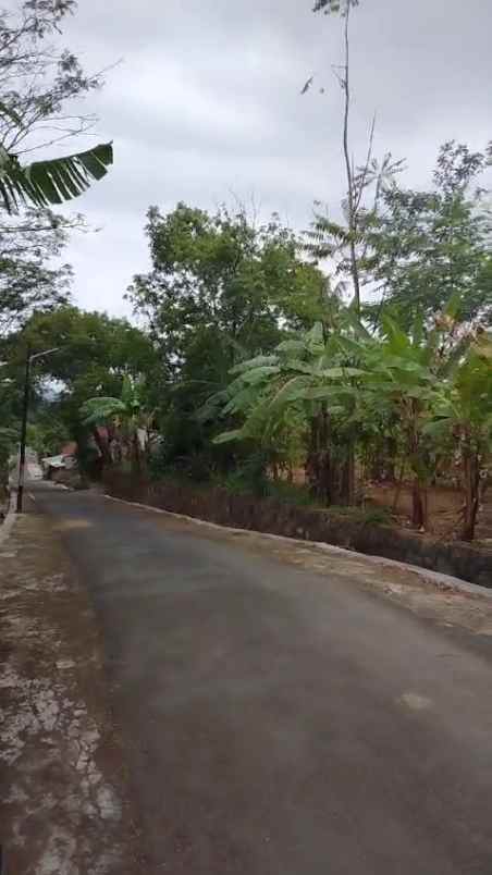 tanah kebun subur dekat kawasan wisata