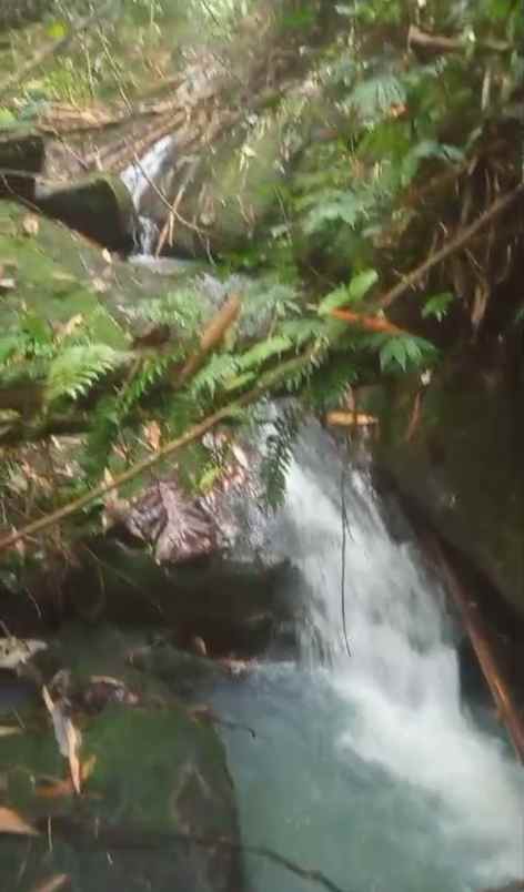 tanah kebun view sungai di selemadeg tabanan bali