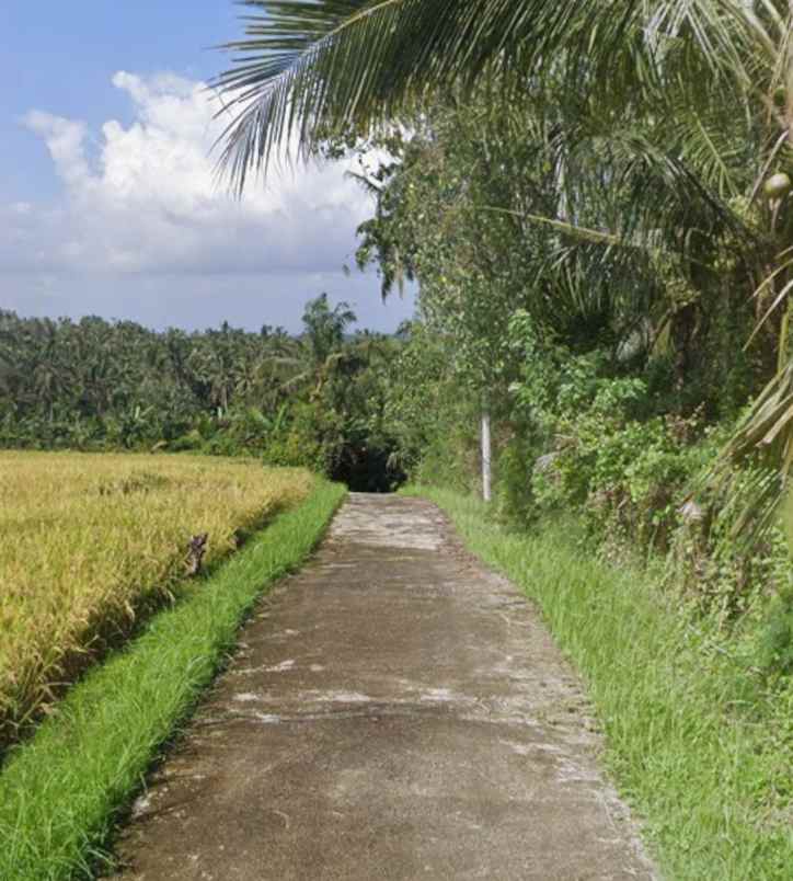 tanah kebun view sungai di selemadeg tabanan bali