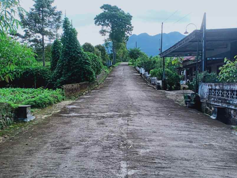 tanah kemuning ngargoyoso