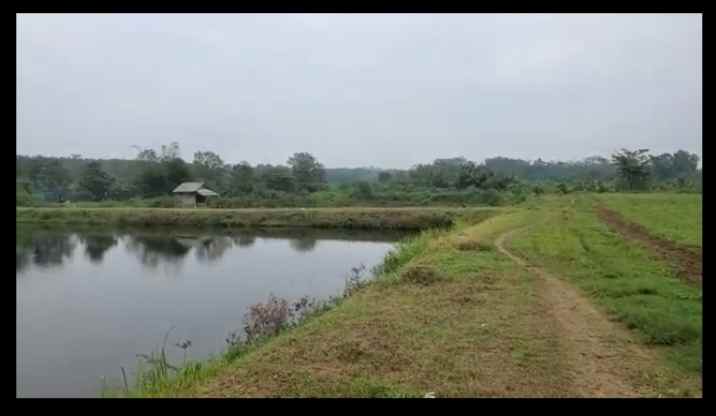 tanah kolam ikan cibogo subang jawa barat