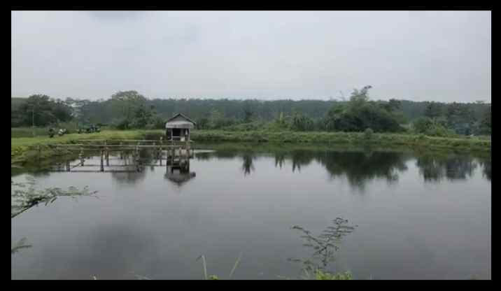 tanah kolam ikan cibogo subang jawa barat