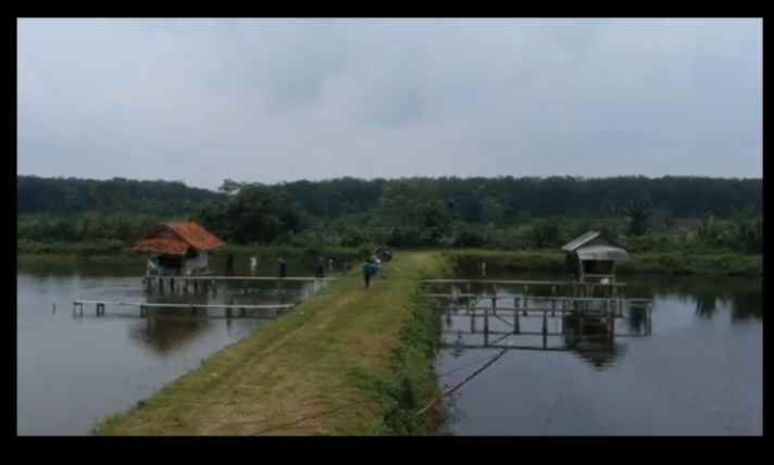 tanah kolam ikan cibogo subang jawa barat