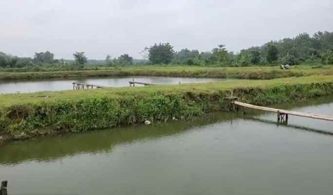 tanah kolam ikan cibogo subang jawa barat