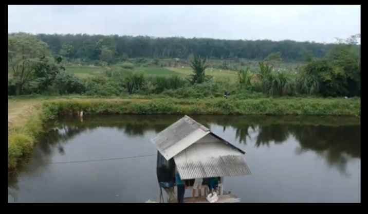 tanah kolam ikan cibogo subang jawa barat