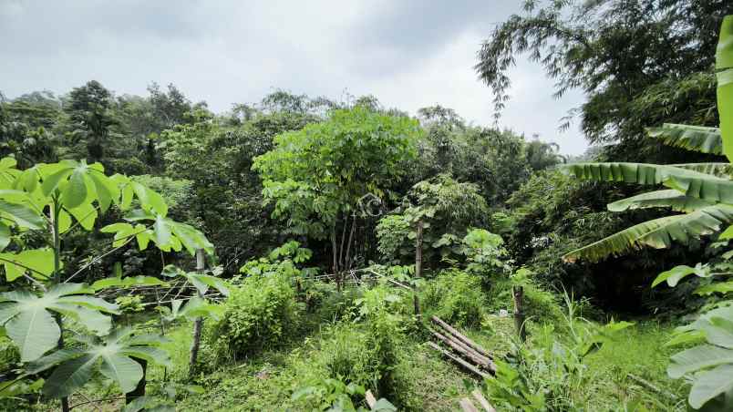 tanah luas di karangploso malang