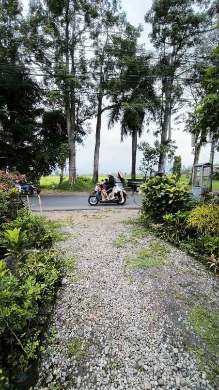 tanah luas di karangploso malang