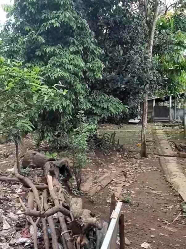 tanah luas murah di blotongan salatiga