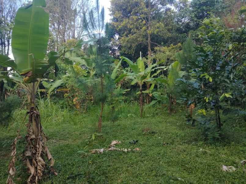 tanah murah strategis pinggir jl dijual di linggarjati