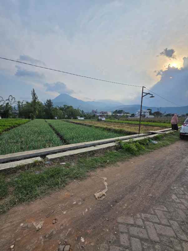 tanah murah super luas strategis dekat pusat kota batu