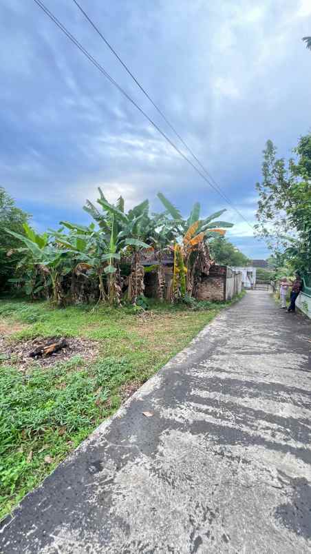 tanah palembang area kebun bunga