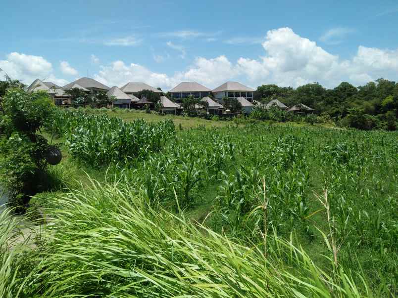 tanah pantai klecung