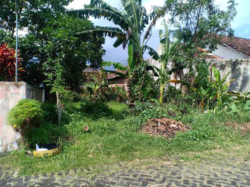 tanah pekarangan di perum indah pemali pakem jember