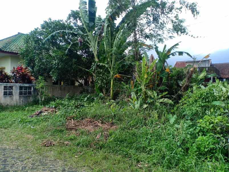 tanah pekarangan di perum indah pemali pakem jember