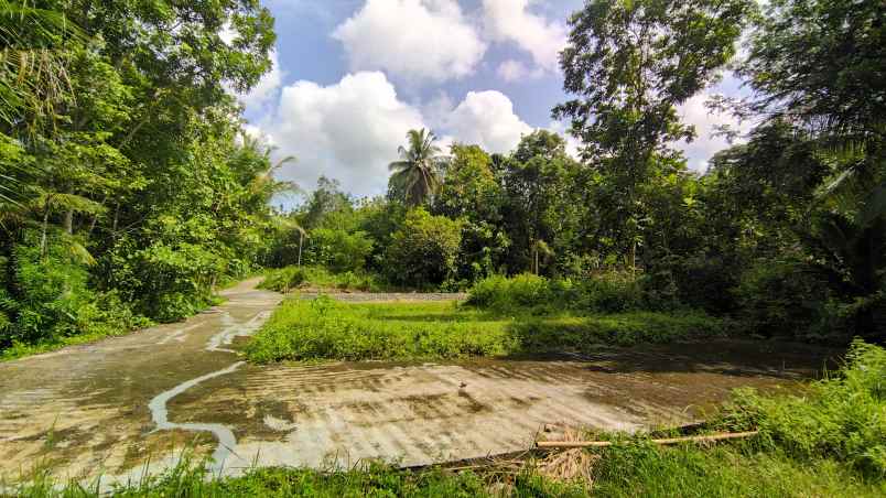 tanah pekarangan jogja dekat polsek panjatan