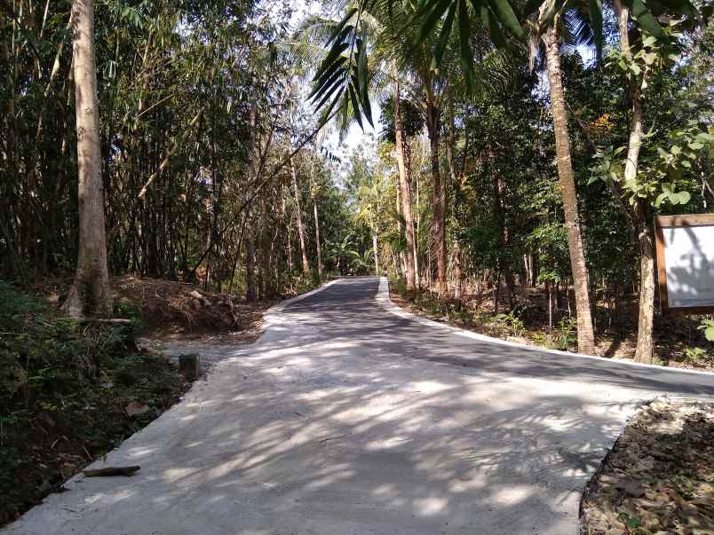 tanah pekarangan jogja dekat polsek panjatan