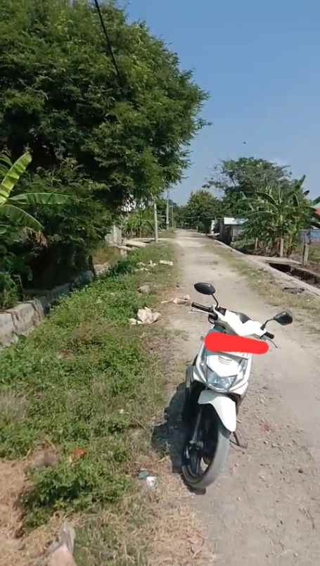 tanah sawah di kawasan strategis