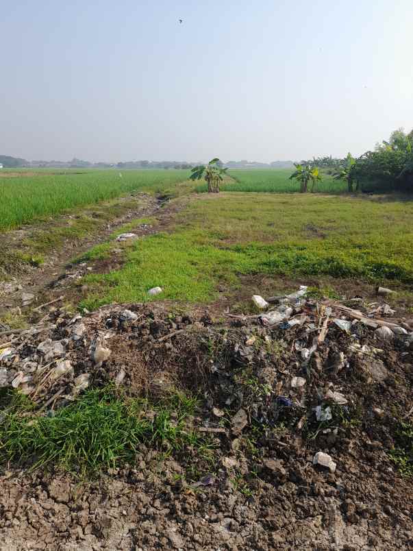 tanah sawah produktiv dan strategis