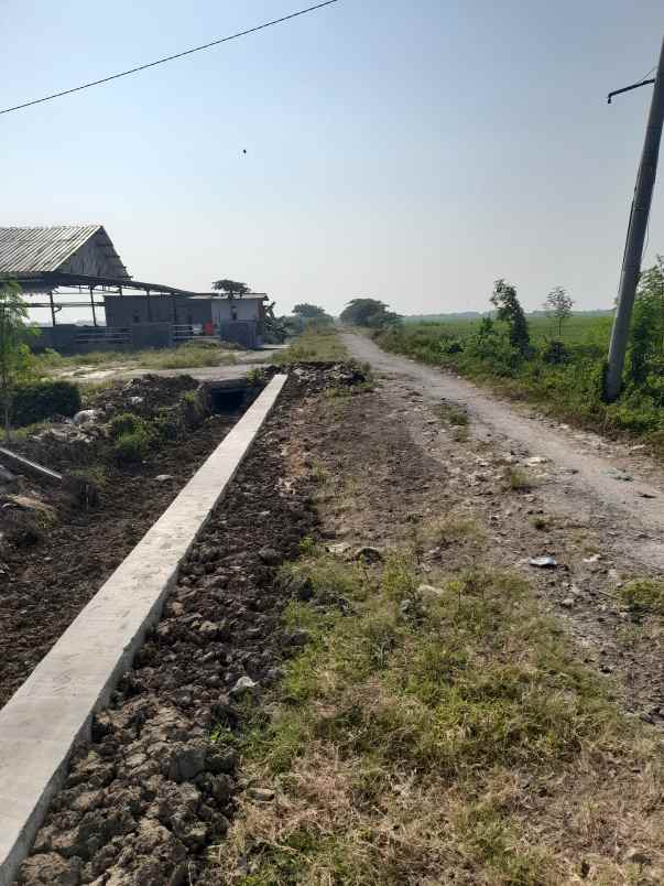 tanah sawah produktiv dan strategis