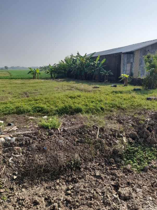 tanah sawah produktiv dan strategis