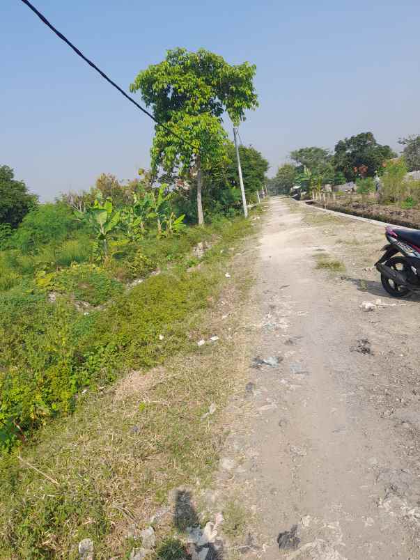 tanah sawah produktiv dan strategis