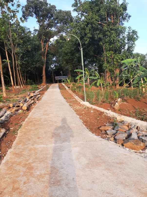 tanah sawah subur dan produktiv