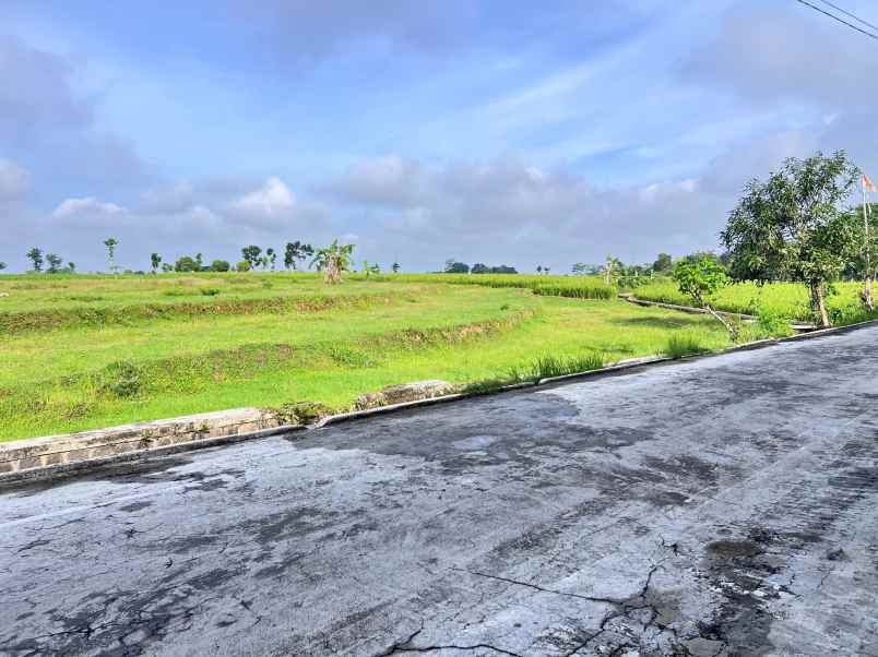 tanah strategis 4770m zona kuning sragen