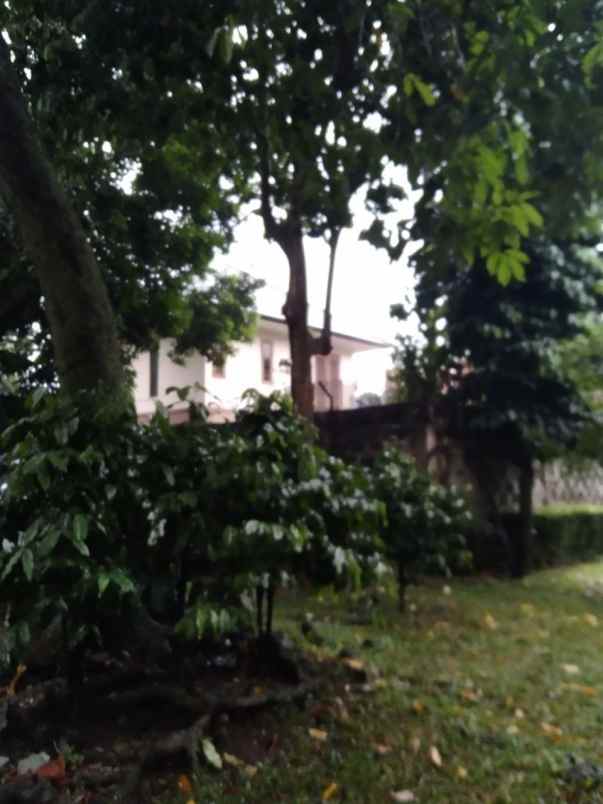 tanah strategis ciganjur jagakarsa jakarta selatan