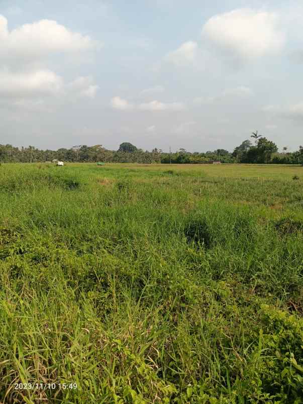 tanah view sawah dekat exit toll tabanan bali