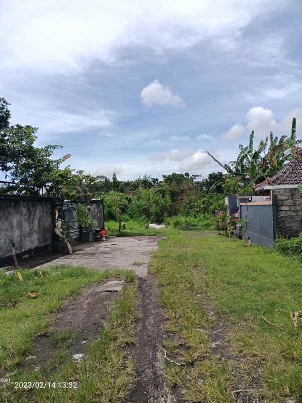 tanah view sungai 10 menit dari canggu bali