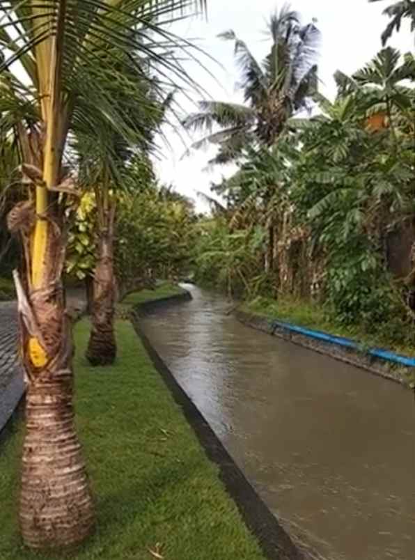 tanah view sungai 10 menit dari canggu bali