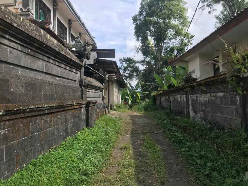 tanah view sungai dan jungle 30 menit dari ubud bali