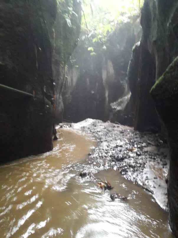 tanah view sungai dan jungle 30 menit dari ubud bali