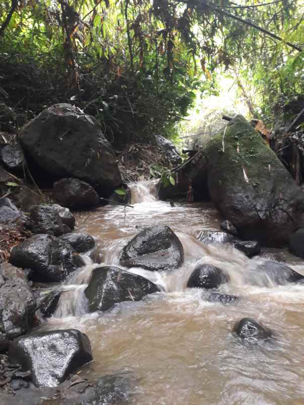 tanah view sungai dan jungle 30 menit dari ubud bali