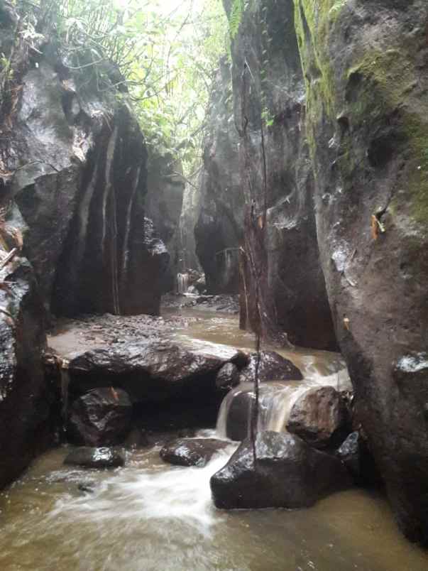 tanah view sungai dan jungle 30 menit dari ubud bali