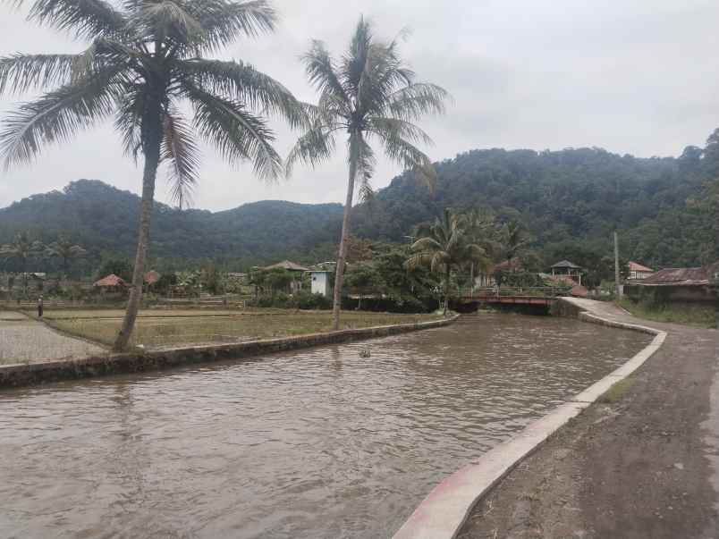 tanah view sungai pegunungan jalan cagak subang