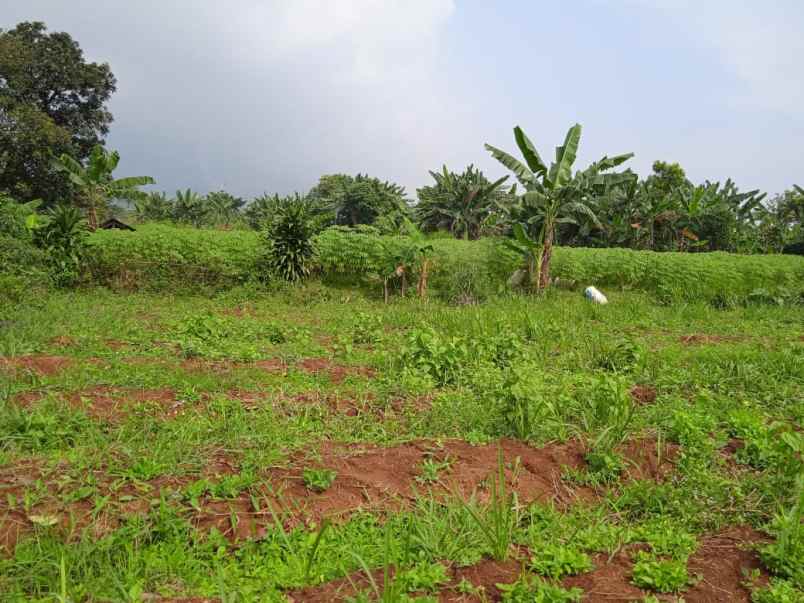 tanah yang bernuansa asri gunung salak