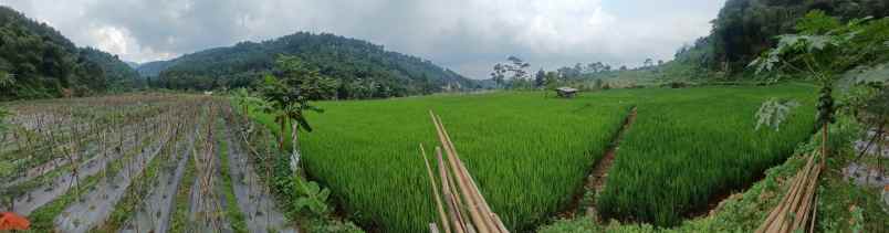 tanaha sawah dengan view pegunungan dan persawahan