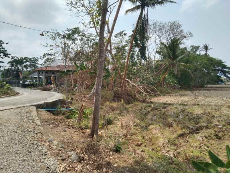 2 menit stasiun jenar tanah purworejo shm