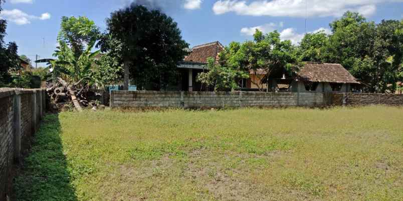 cocok bangun villa prambanan tanah dijual