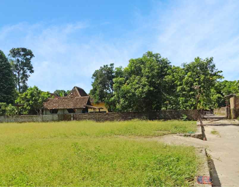 cocok bangun villa prambanan tanah dijual