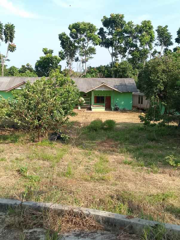 dijual lokasi kebun durian di sukabumi