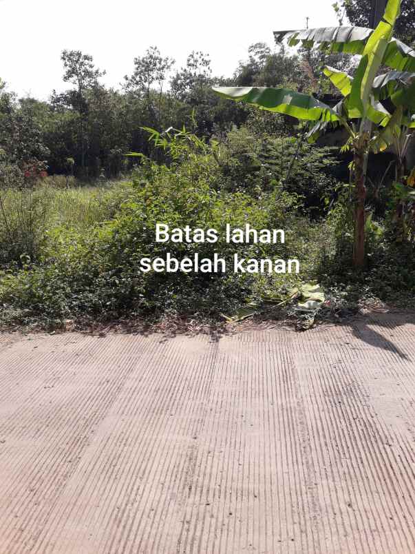 dijual murah bu tanah margaasih cicalengka kab bandung