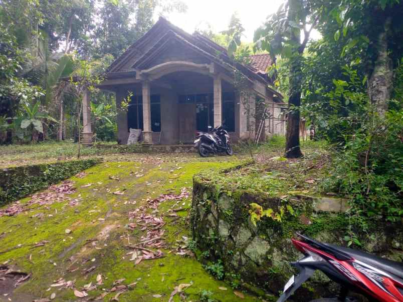 dijual pekarangan kemalang bonus rumah