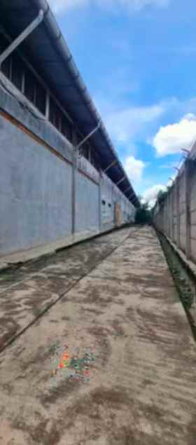 dijual ruko gudang kantor batu ceper daan mogot